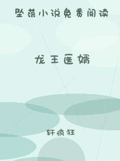 龙王医婿