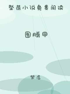 图腾甲